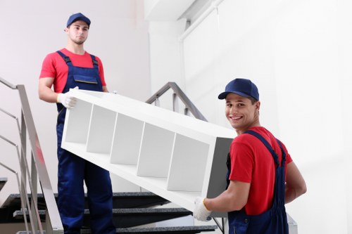 Final policy commitment for safe and responsible removals